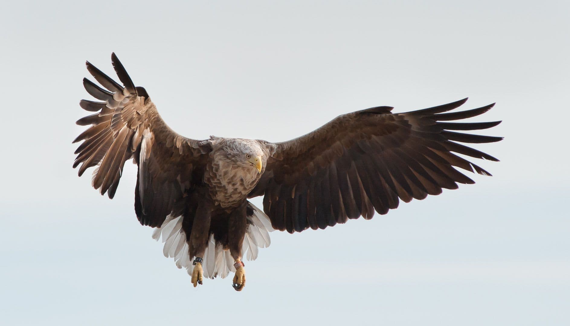 Ett litet paradis för båtfolket