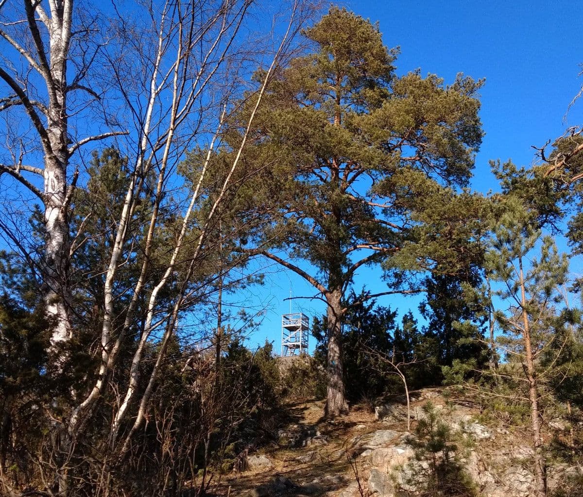 Storslagen utsikt över havsbandet